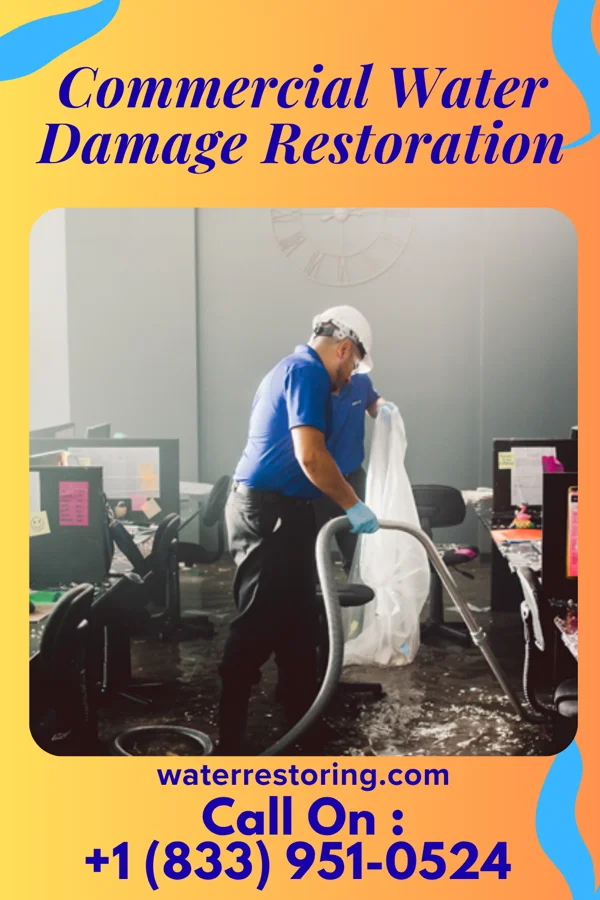 Commercial Water Damage Restoration in Moncks Corner, SC