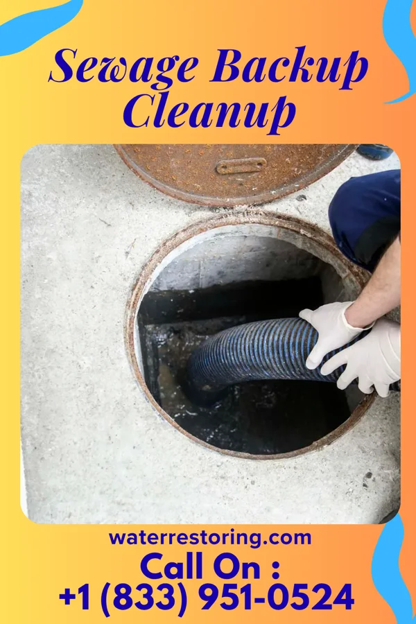 Sewage Backup Cleanup in Moncks Corner, SC