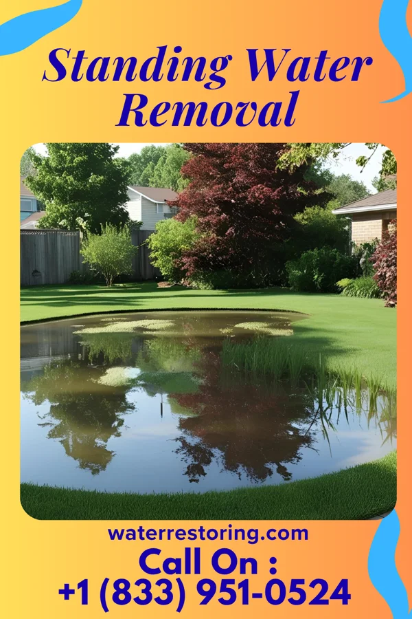 Standing Water Removal in Moncks Corner, SC